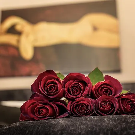 Ben Akiba Luxury Apartmán Bělehrad